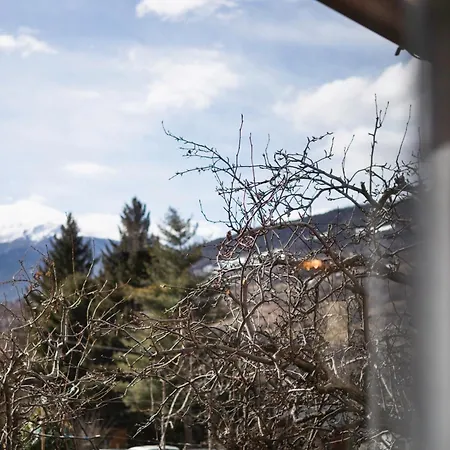 Mini House Valle D'aosta Apartment Roisan